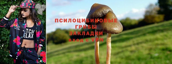 эйфоретик Алзамай
