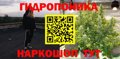 соль ск Тулун