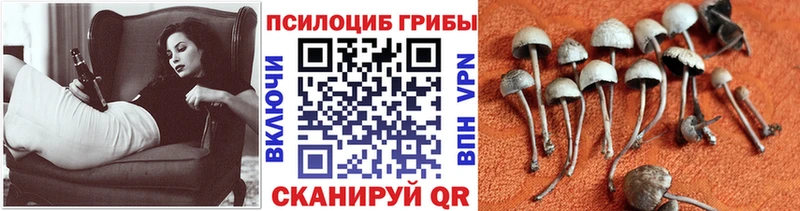Галлюциногенные грибы прущие грибы  наркотики  Протвино 