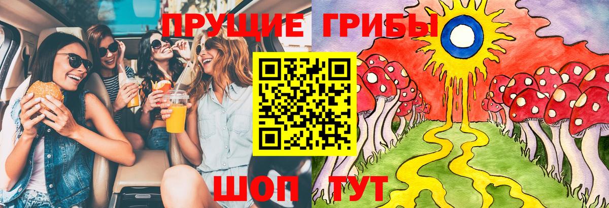 Псилоцибиновые грибы GOLDEN TEACHER  Вход с VPN  Протвино 
