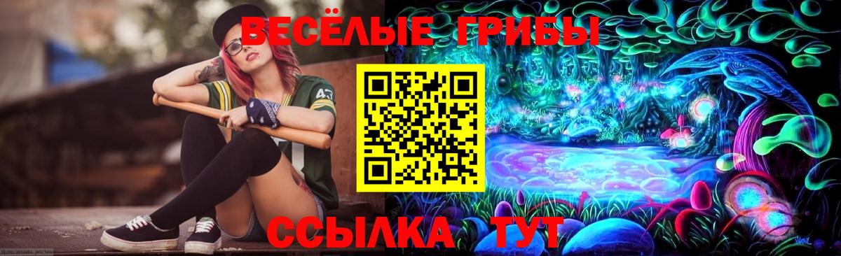Псилоцибиновые грибы мицелий Протвино